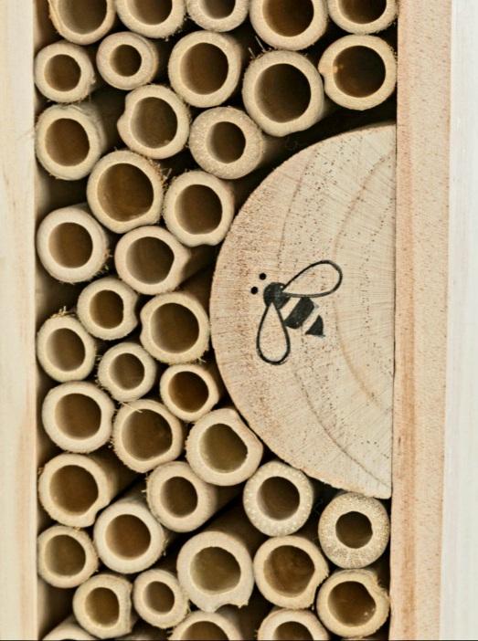 Bienenhotel Trixie 11 × 30 × 14 cm cm Insektenhotel Piep&Matz